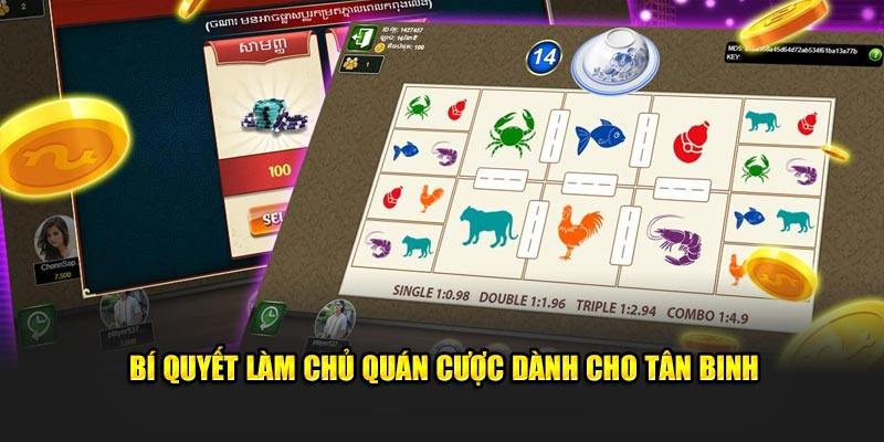 Bí quyết làm chủ quán cược dành cho tân binh