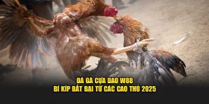 Đá gà cựa dao w88 bị kíp bất bại