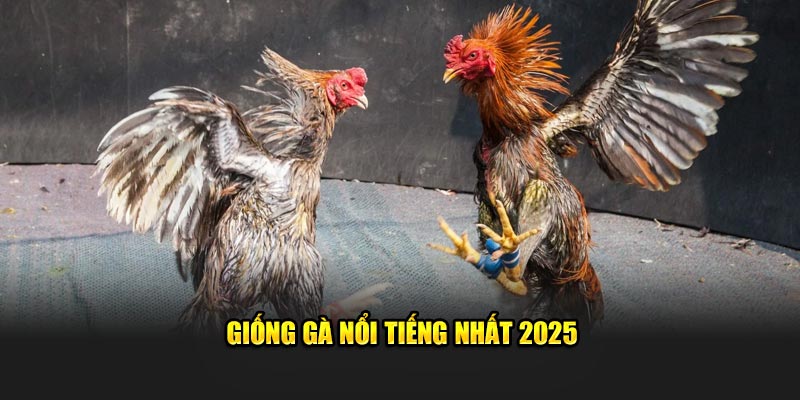 Các giống gà nổi tiếng nhất